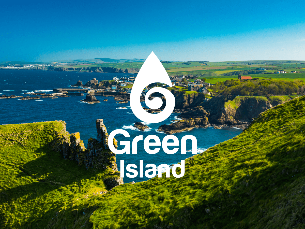 Green Island - visual ID și design etichete 2 Green Island visual Id propunere